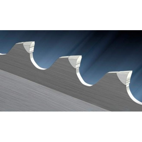 Band-saw with cutting edges of sintered carbides HM- Titan forteC