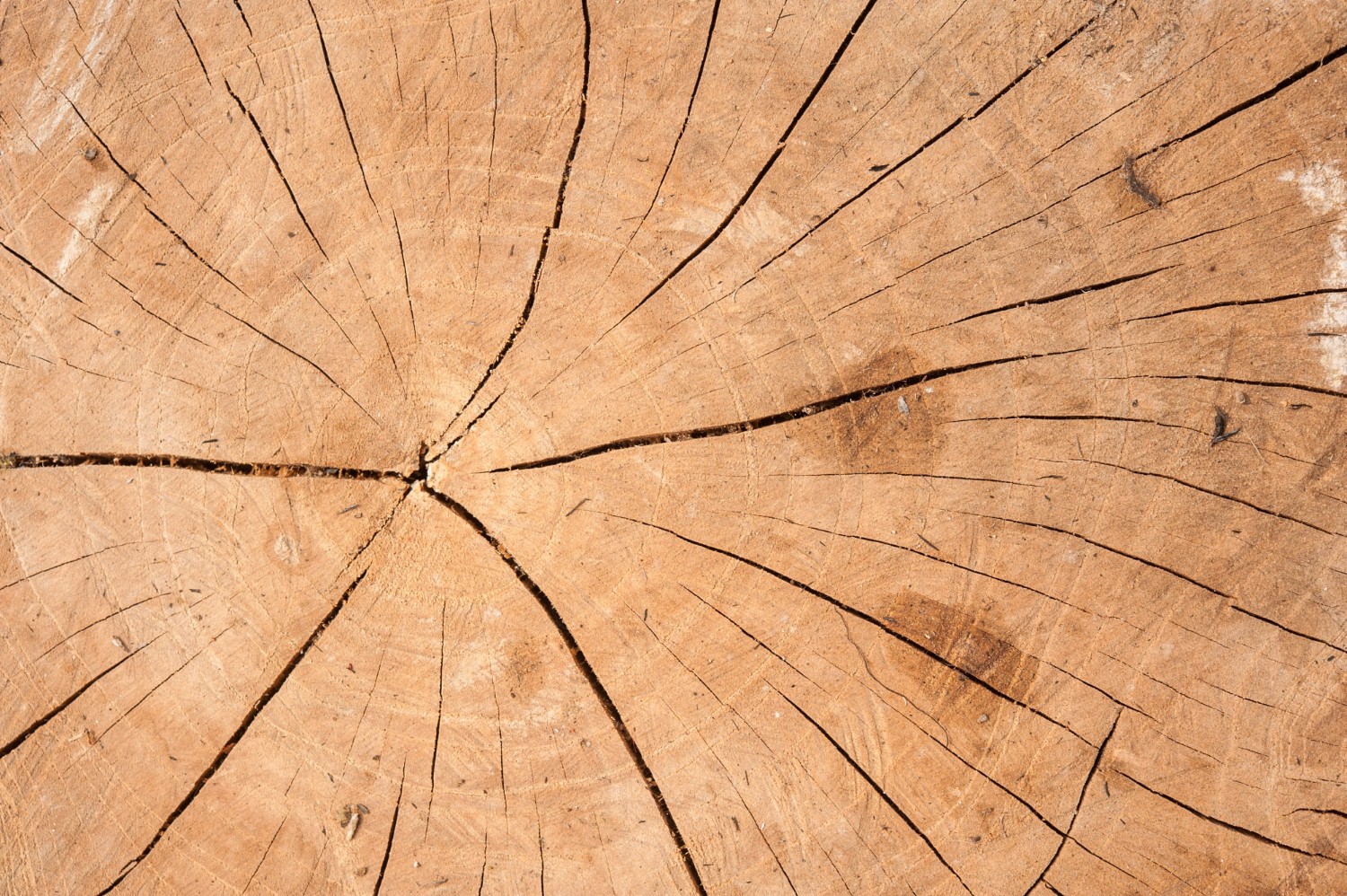 Hoe en waarmee moet je hout schuren?